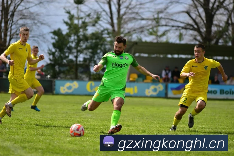 多媒体互动体验